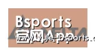 Bsports官网App下载合作伙伴六